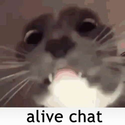 A Close Up Of A Cat 'S Face With The Words `` Alive Chat '' Written On The Bottom . GIF