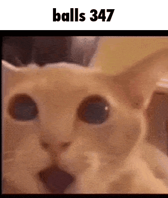 A Close Up Of A Cat 'S Face With The Words " Balls 347 " Above It GIF