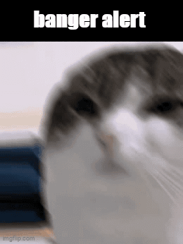 A Close Up Of A Cat 'S Face With The Words Banger Alert On The Bottom . GIF
