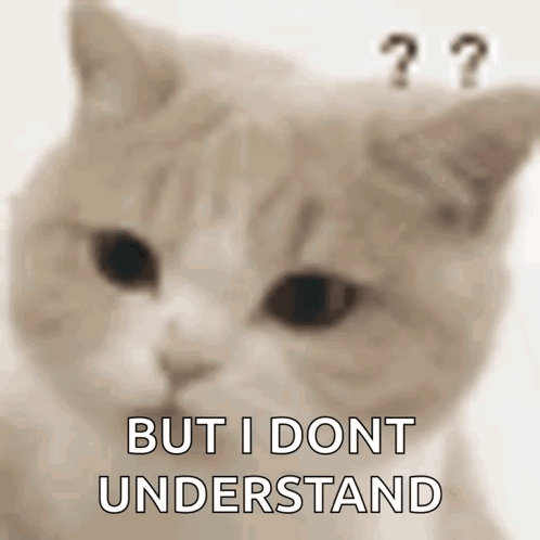 A Close Up Of A Cat 'S Face With The Words `` But I Dont Understand '' Above It . GIF