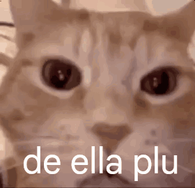 A Close Up Of A Cat 'S Face With The Words De Ella Plu On It GIF