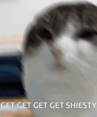A Close Up Of A Cat 'S Face With The Words Get Get Get Shiesty Written Below It GIF