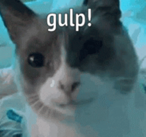 A Close Up Of A Cat 'S Face With The Words Gulp Written Above It . GIF