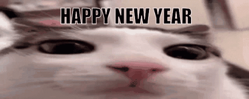 A Close Up Of A Cat 'S Face With The Words `` Happy New Year '' Written In The Background . GIF