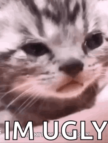 A Close Up Of A Cat 'S Face With The Words `` I 'M Ugly '' Written On It . GIF