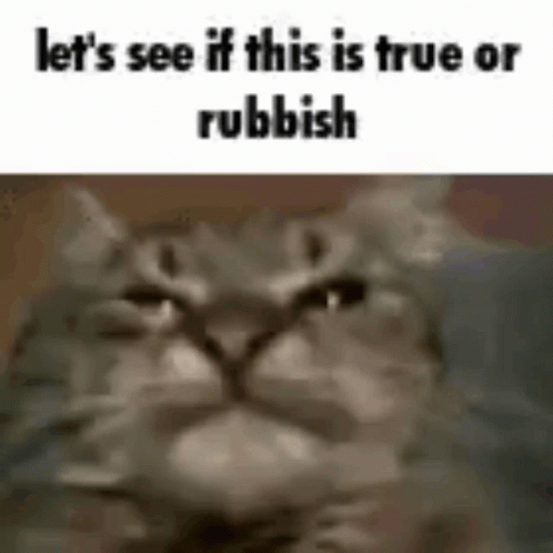 A Close Up Of A Cat 'S Face With The Words `` Let 'S See If This Is True Or Rubbish '' GIF