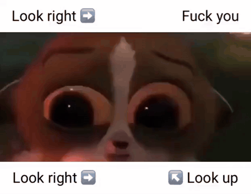 A Close Up Of A Cat 'S Face With The Words Look Right And Fuck You Below It GIF