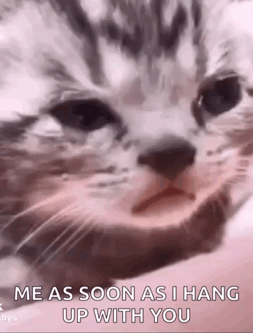 A Close Up Of A Cat 'S Face With The Words `` Me As Soon As I Hang Up With You '' Written Below It . GIF