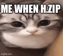 A Close Up Of A Cat 'S Face With The Words `` Me When H.zip '' Written On It . GIF