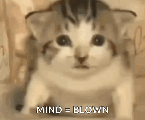 A Close Up Of A Cat 'S Face With The Words `` Mind = Blown '' Written Below It . GIF