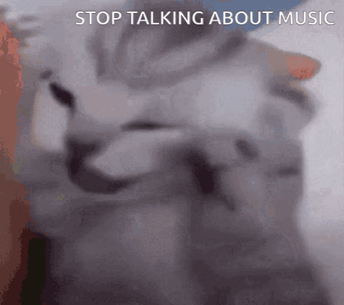 A Close Up Of A Cat 'S Face With The Words Stop Talking About Music Below It GIF