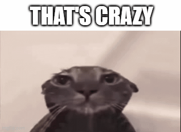 A Close Up Of A Cat 'S Face With The Words `` That 'S Crazy '' Written On It . GIF