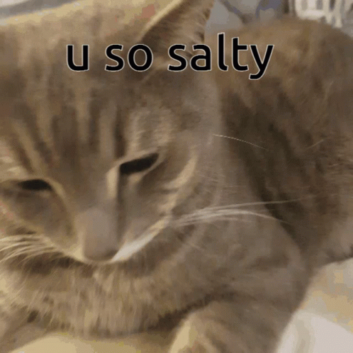 A Close Up Of A Cat 'S Face With The Words U So Salty Written Above It GIF