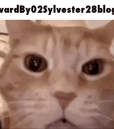 A Close Up Of A Cat 'S Face With The Words " Vardby02sylvester28blog " Above It GIF