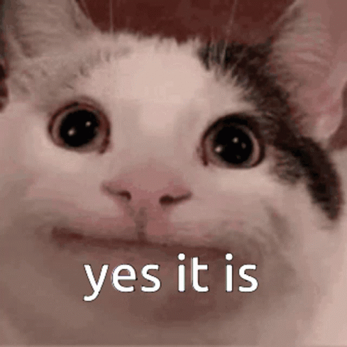 a close up of a cat 's face with the words `` yes it is '' written below it .
