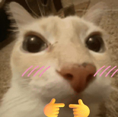 A Close Up Of A Cat 'S Face With Two Hands Pointing Towards It GIF