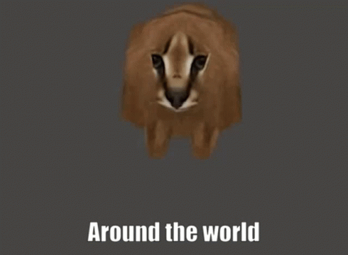 Cat Head Close Up With Around The World Text GIF