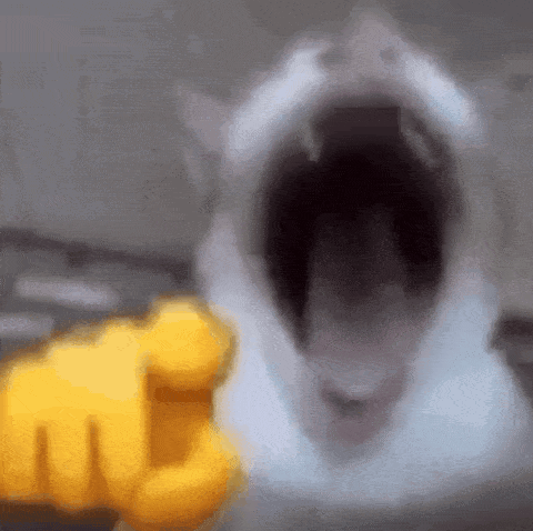A Close Up Of A Cat 'S Mouth With Its Mouth Open And A Yellow Fist Behind It . GIF