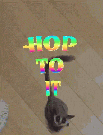 A Close Up Of A Cat 'S Paw On A Wood Floor GIF