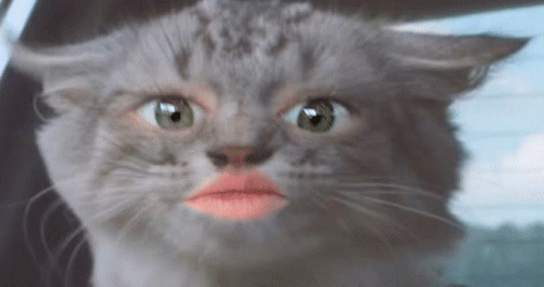 A Close Up Of A Cat With A Pink Lip GIF