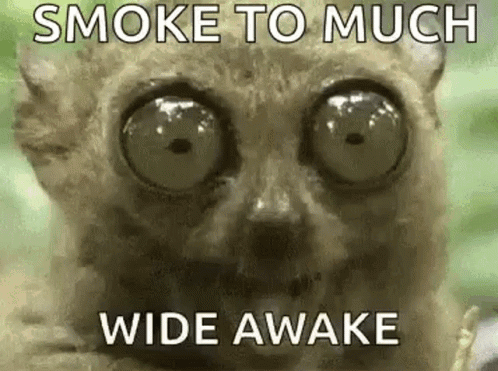 a close up of a cat with big eyes and the words `` smoke to much wide awake '' written on it .