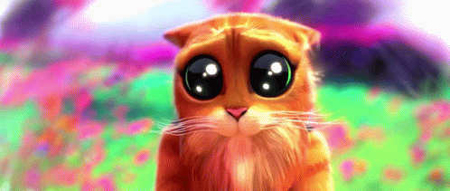 A Close Up Of A Cat With Big Eyes Looking At The Camera GIF