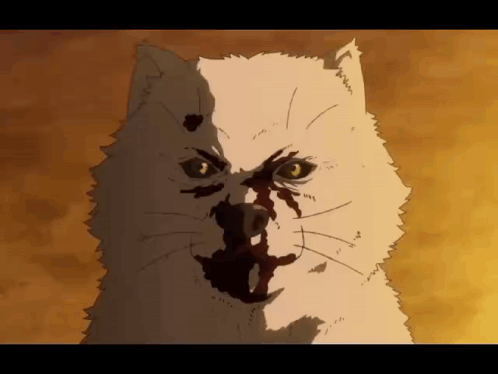 A Close Up Of A Cat With Blood On Its Nose GIF