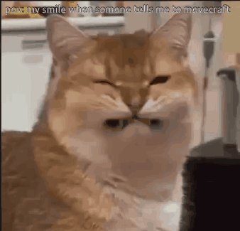 A Close Up Of A Cat With Its Eyes Closed And A Caption That Says `` My Smile When Someone Tells Me To Movecraft '' GIF