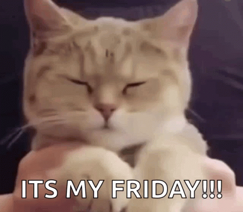 a close up of a cat with its eyes closed and the words `` it 's my friday '' written on it .