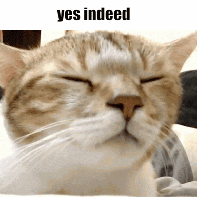 A Close Up Of A Cat With Its Eyes Closed And The Words Yes Indeed Above It GIF