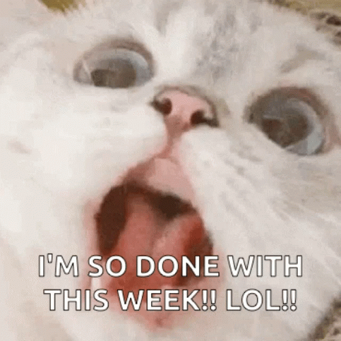 A Close Up Of A Cat With Its Mouth Open And The Words I 'M So Done With This Week Lol . GIF