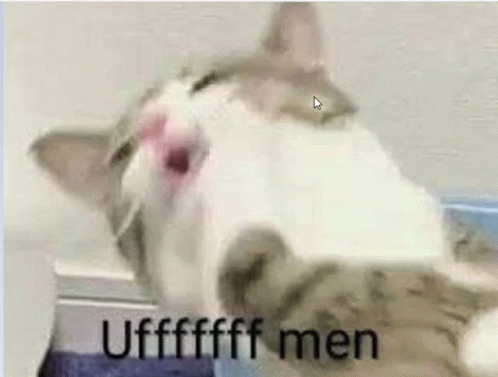 A Close Up Of A Cat With Its Mouth Open And The Words `` Ufffffff Men '' Written Above It . GIF