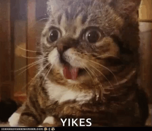 A Close Up Of A Cat With Its Tongue Out And The Word Yikes On The Bottom Right GIF