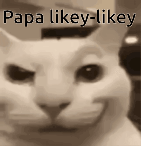 A Close Up Of A Cat With Papa Likey-Likey Written On It GIF