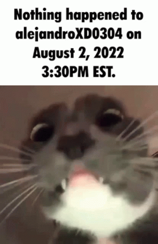 a close up of a cat with the caption nothing happened to alejandroxd0304 on august 2 , 2022