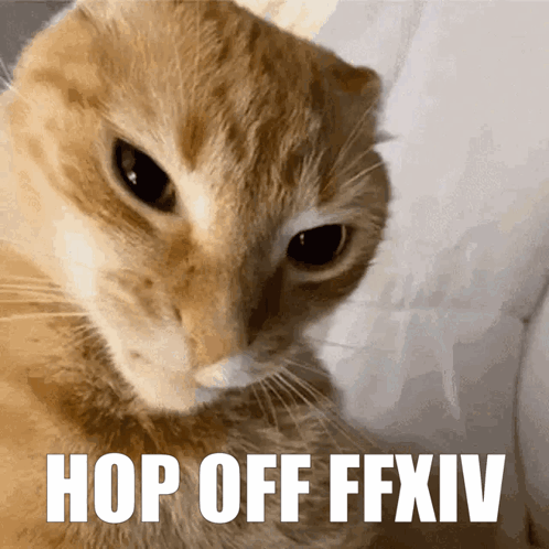 A Close Up Of A Cat With The Text Hop Off Ffxiv GIF