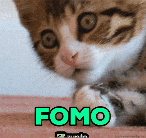 A Close Up Of A Cat With The Word Fomo In Green GIF