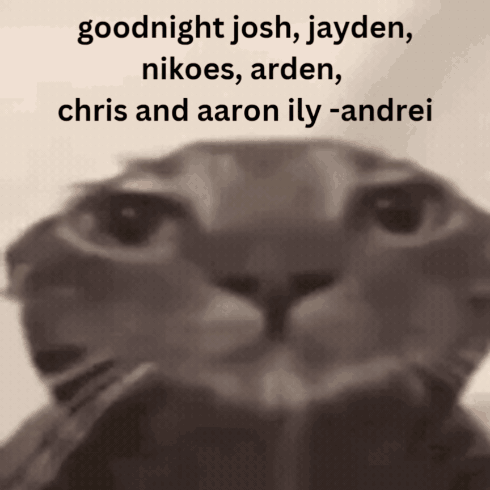 A Close Up Of A Cat With The Words Goodnight Josh Jayden Nikoes Arden GIF