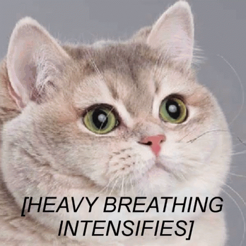 A Close Up Of A Cat With The Words Heavy Breathing Intensifies On The Bottom GIF
