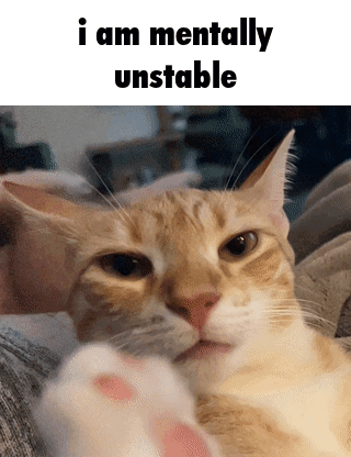 A Close Up Of A Cat With The Words I Am Mentally Unstable On The Bottom GIF