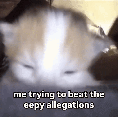 A Close Up Of A Cat With The Words Me Trying To Beat The Eepy Allegations Below It GIF