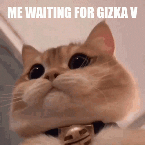 A Close Up Of A Cat With The Words Me Waiting For Gizka V Written Above It GIF