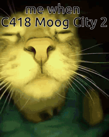 A Close Up Of A Cat With The Words Me When C418 Moog City 2 Written Above It GIF