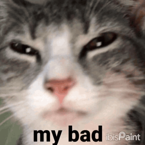 a close up of a cat with the words " my bad " on the bottom