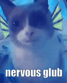 A Close Up Of A Cat With The Words Nervous Glub Written Below It GIF