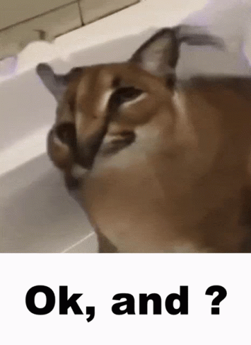 A Close Up Of A Cat With The Words Ok And Written Below It GIF