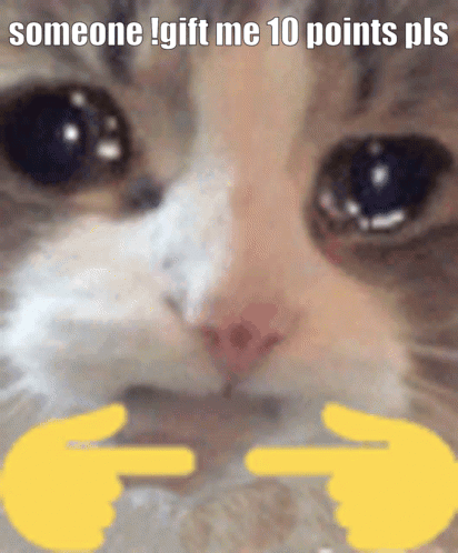 A Close Up Of A Cat With The Words " Someone Gift Me 10 Points Pls " On The Bottom GIF