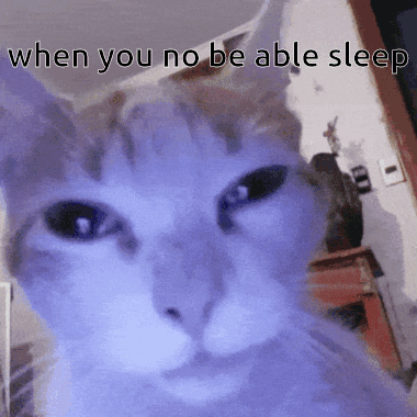 A Close Up Of A Cat With The Words " When You No Be Able Sleep " Below It GIF