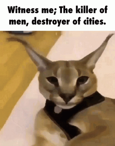 A Close Up Of A Cat With The Words Witness Me The Killer Of Men Destroyer Of Cities GIF