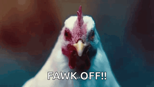 A Close Up Of A Chicken With The Words Fawk Off Written On The Bottom GIF
